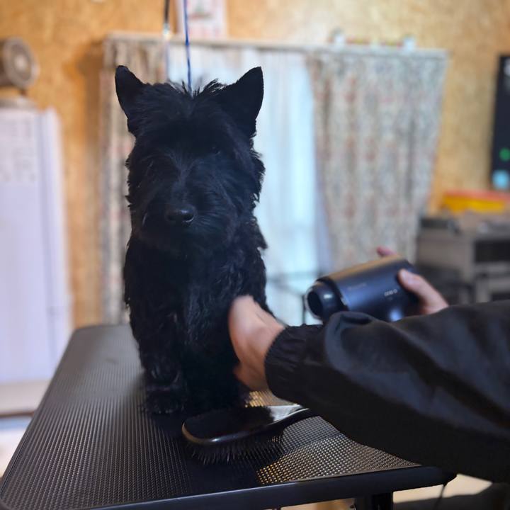 A756bfc9 9835 41c2 96a1 520ad2ccc475 1774013357064