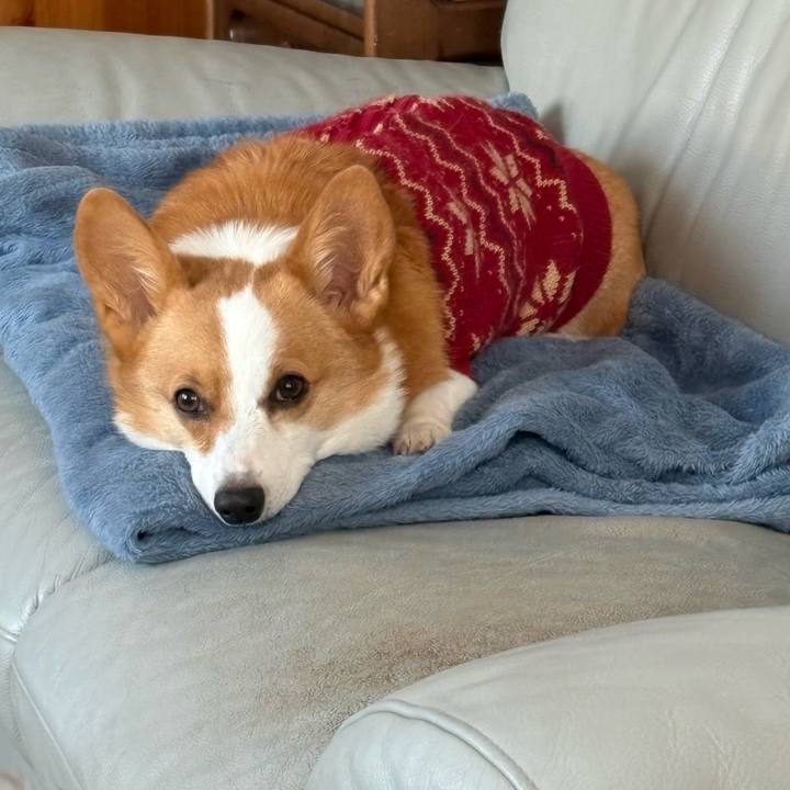 A75732e0 e0da 4ec9 8d28 7d8f9c073e0e 1769036345643