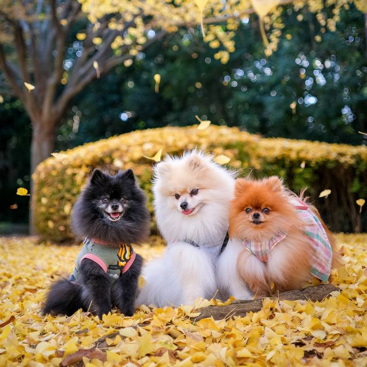 A7573cf6 3753 408b 8499 fb9ab2f4b286 1606174087923