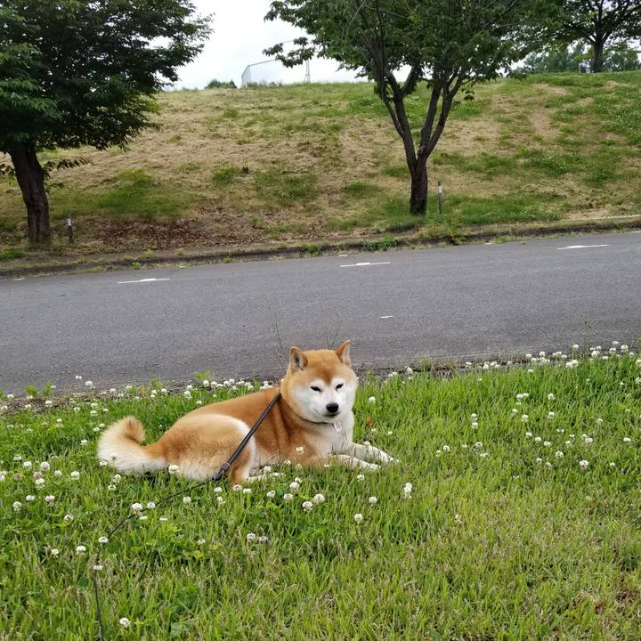 A7575d62 0c5b 46a5 9927 494ce5d28765 1590997700982