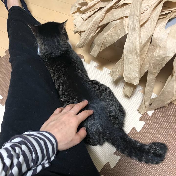 A7576143 fbab 44b6 ab58 7d48143cd1f7 1527695638343