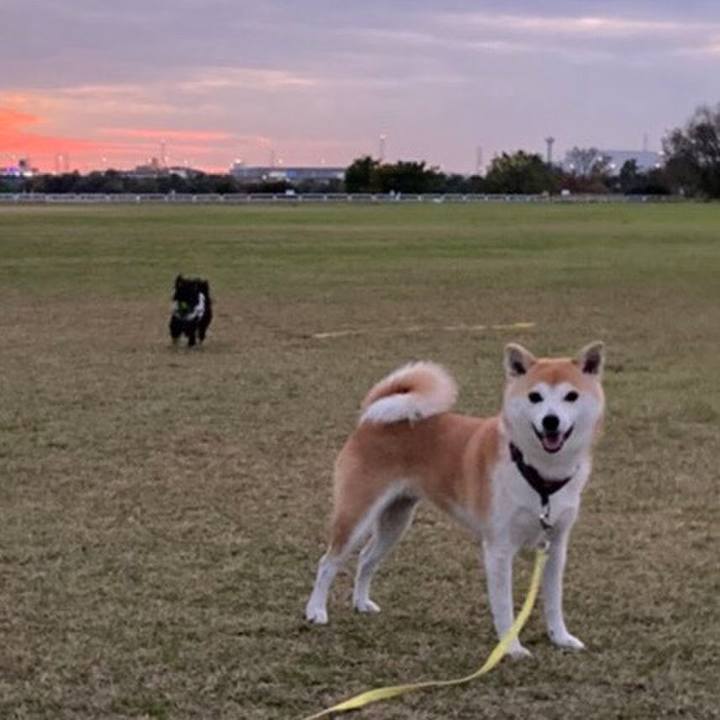 A7577498 8457 4537 b13d fb5a00b90e6b 1606607940361