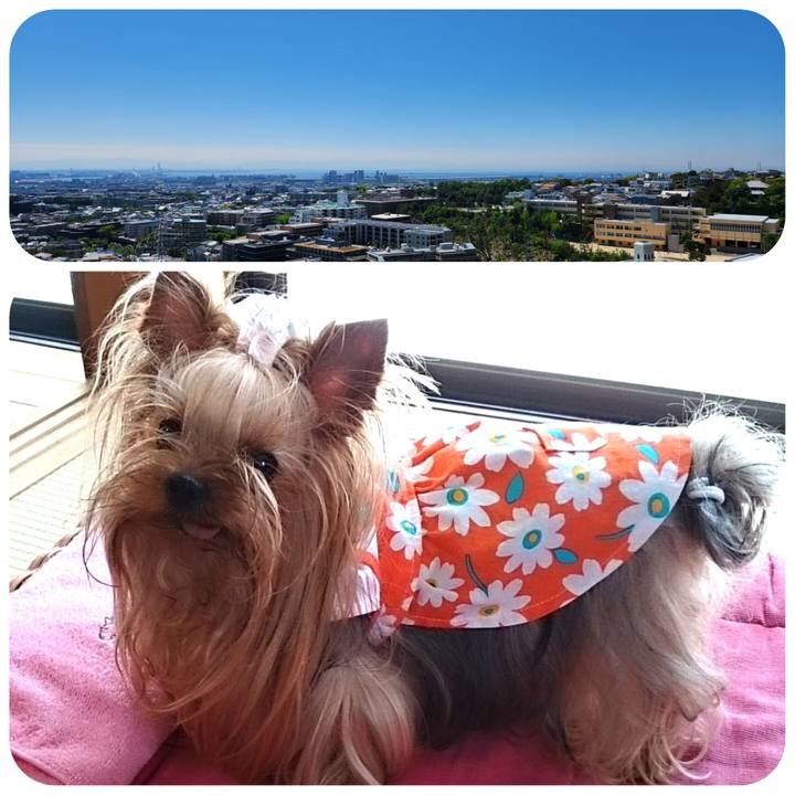 A75784c6 e024 4979 9327 f1a946ce2991 1716689719784