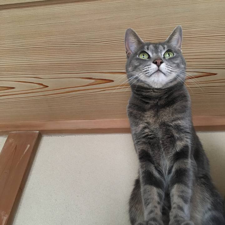 A757a804 0d24 4557 8195 ad6b81678f71 1588380131516