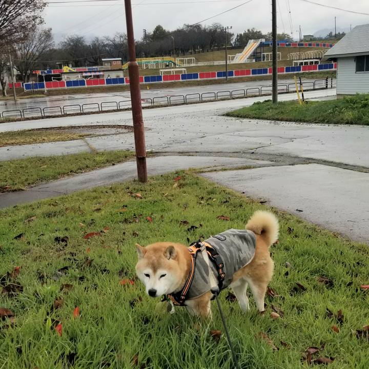 A757cc70 2e3c 4e14 9caa cc974c96547f 1699678605867