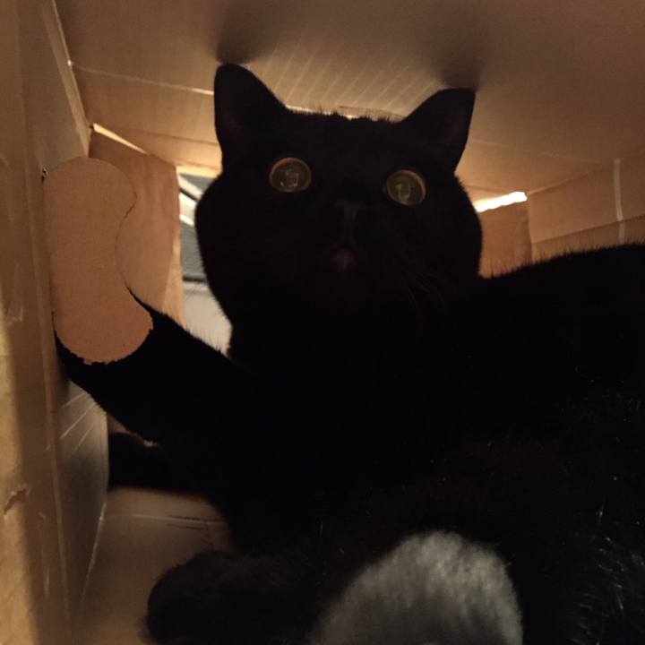 A757d37e 1f1d 459d a167 f134d692fe62 1579868124594