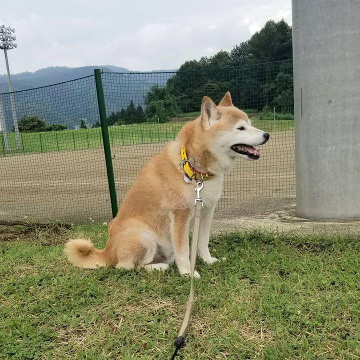 A757e26a 91a2 48bb 9094 163202d4fb94 1688971607241