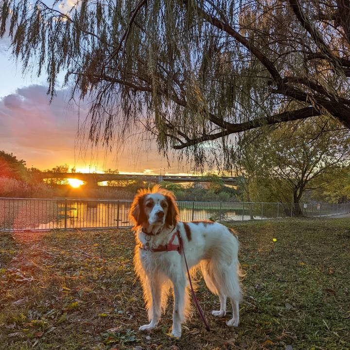 A758272d bedf 49c6 8984 287eaa3ce69a 1670315820931