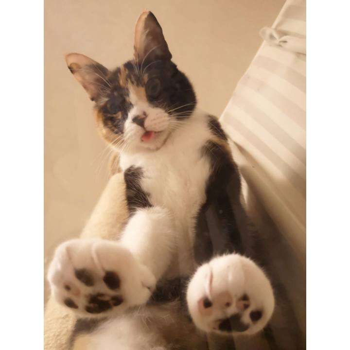 A7582790 c232 44cf 9fbf b12ef20437b6 1612619528886