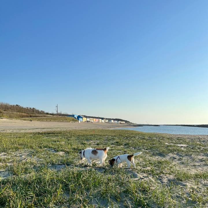 A7583179 9659 4a95 b8a6 cc042449c6c3 1620898066950