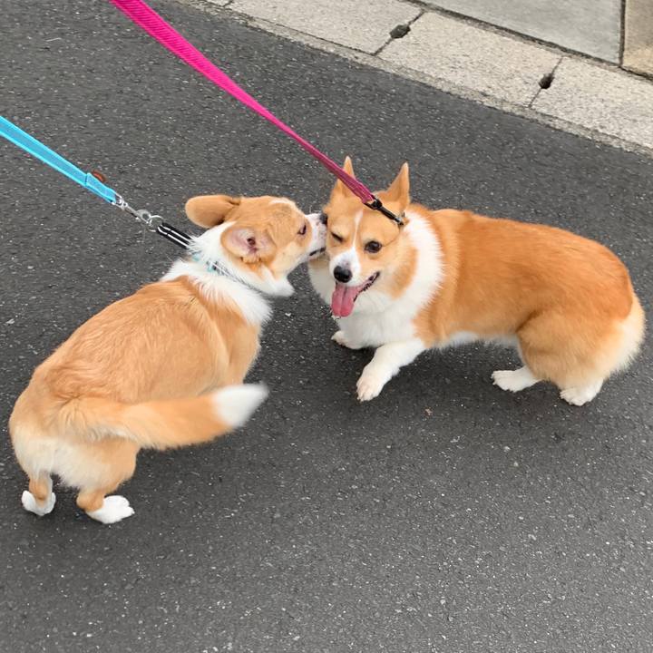 A7585968 0824 4ae4 af13 e769d35755e1 1569454732545