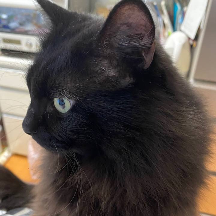 A75883c9 bab6 4e10 a60b 1db470a84710 1576797661795