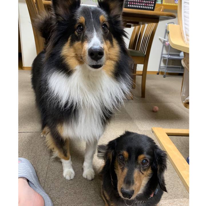 A75884b7 9a1b 48c4 9924 0a113308699a 1574632109474