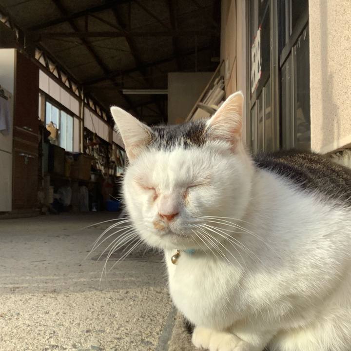 A7588d5b 1530 4855 acb9 2d4af20fec1f 1609550539724