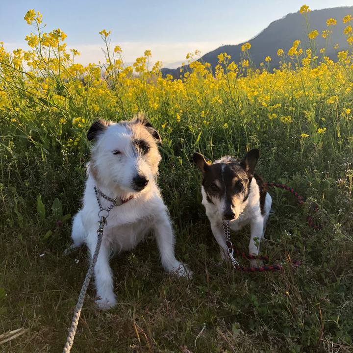 A758c37e 7845 4536 a168 bde772294ea2 1586646299957