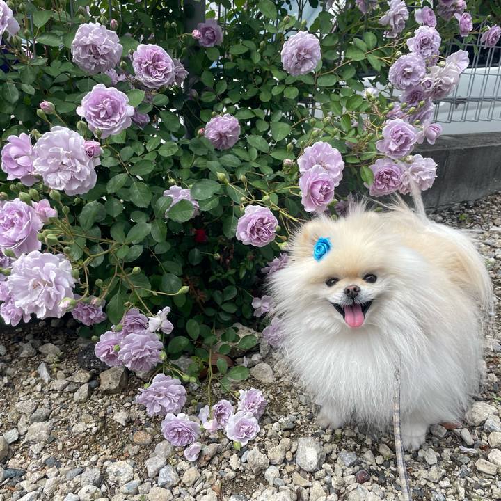 A7591321 350a 4c85 8c80 070dfa0d436f 1715229757022