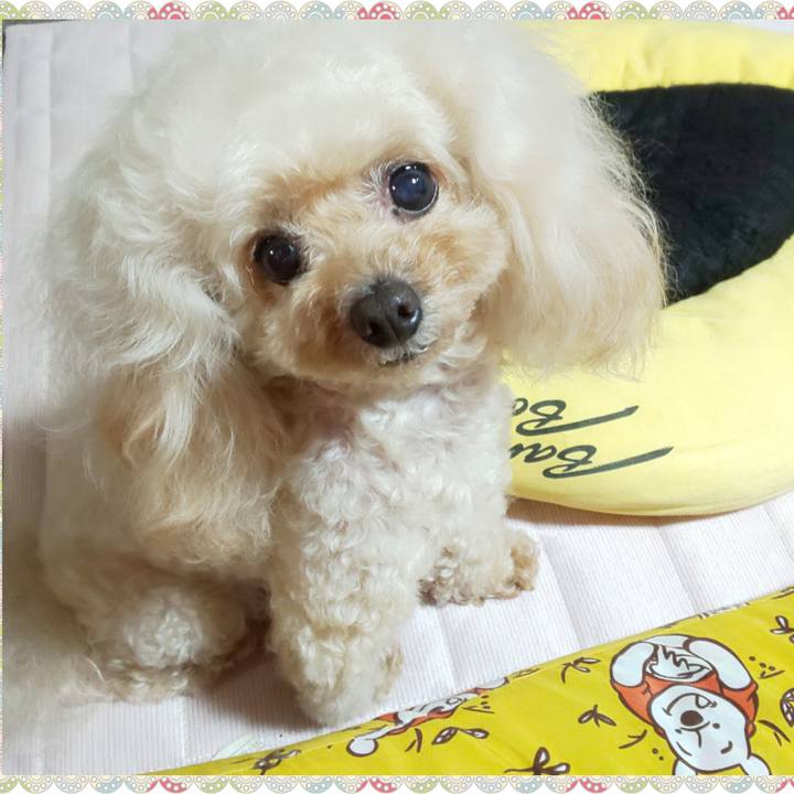 A7591dc2 bc16 478f b1f3 779da496a9f2 1721725444706