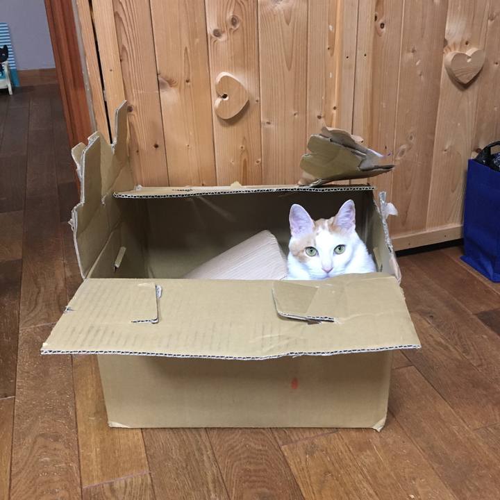 A7592260 4245 4efb 9d98 b1cb8112b713 1531587756570