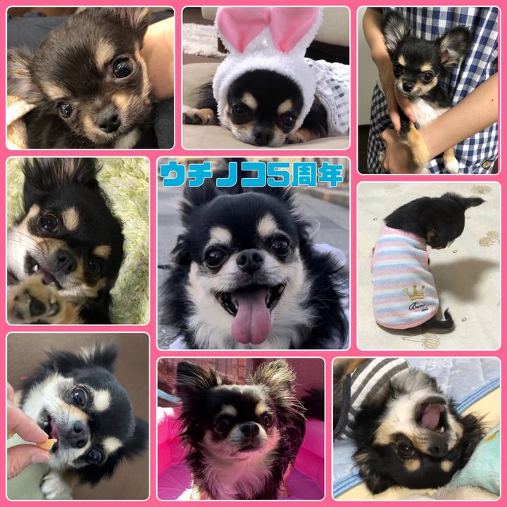 A7592a03 cb42 420a 991c 29135be9be20 1691880939317