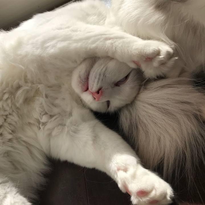 A75930af 64bb 4f05 af6d 2ffcf9429951 1518410362576