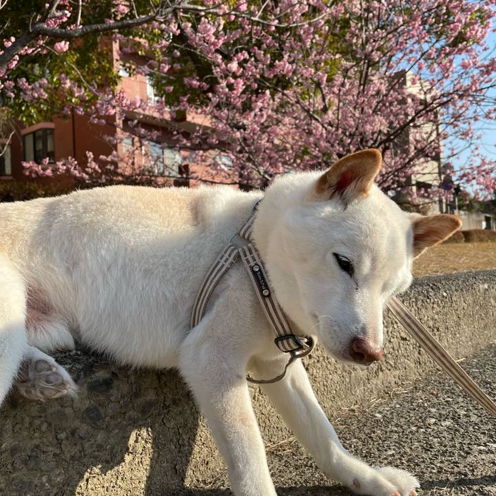 A7594573 572a 4d91 b71c 28eaf0f23115 1646373219575