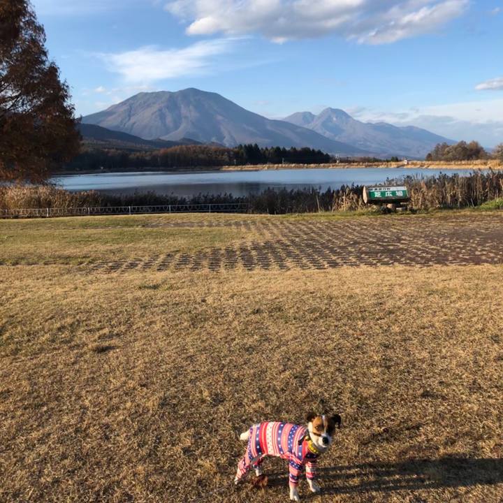 A75967fb 382b 462c 8856 62a3d901fb6c 1543143913875