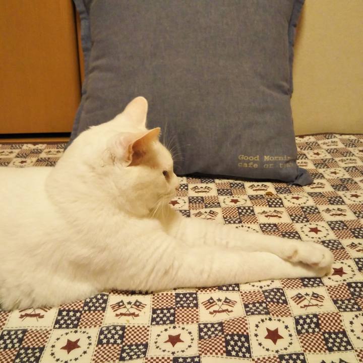 A7596c33 dc8e 4394 b08c 42918368a7b2 1630339636020