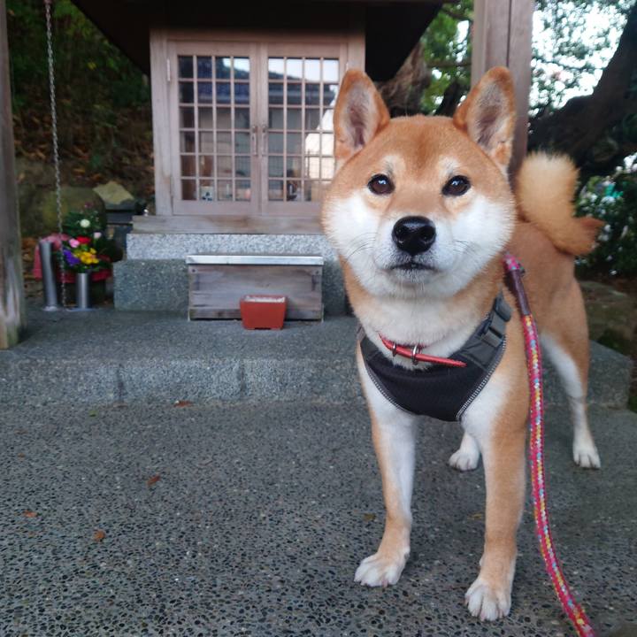 A7597cdd 31fe 4fcf 8081 b47b6bd5e6ec 1764466495500