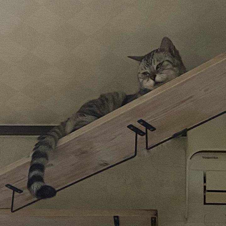 A75980ee 5227 4877 8c42 ee1ff754082b 1750932417302