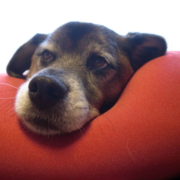 A7599a10 60ca 4c8d 9101 2c6ce13965a0 1593945236420