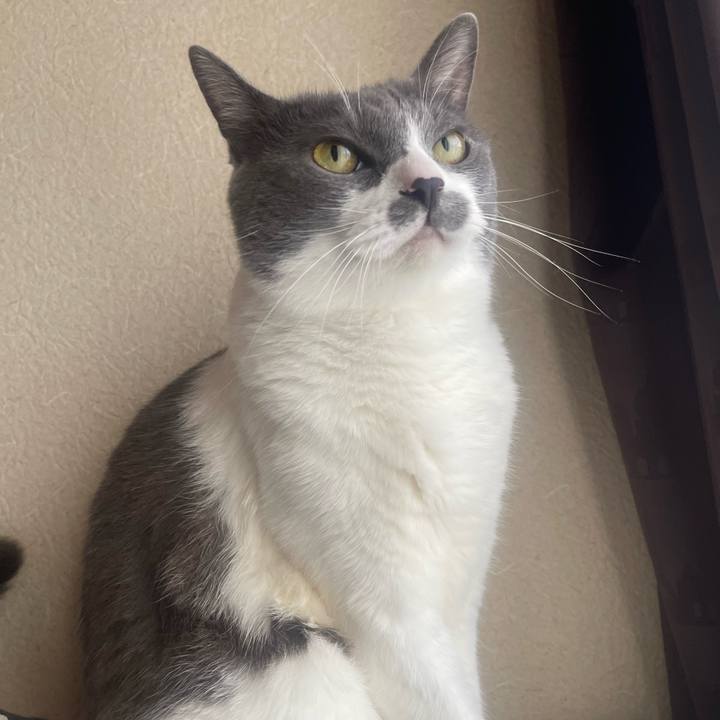 A759de90 8922 42e7 90e6 b94047cdca1f 1754429208569