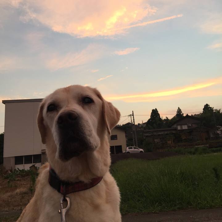 A75a2eae e840 4ab0 9817 1c8fb8c637ca 1532013105886