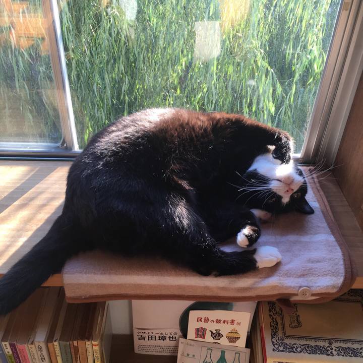 A75a505e 79b7 4955 a14a bef610bf0a91 1540908888922