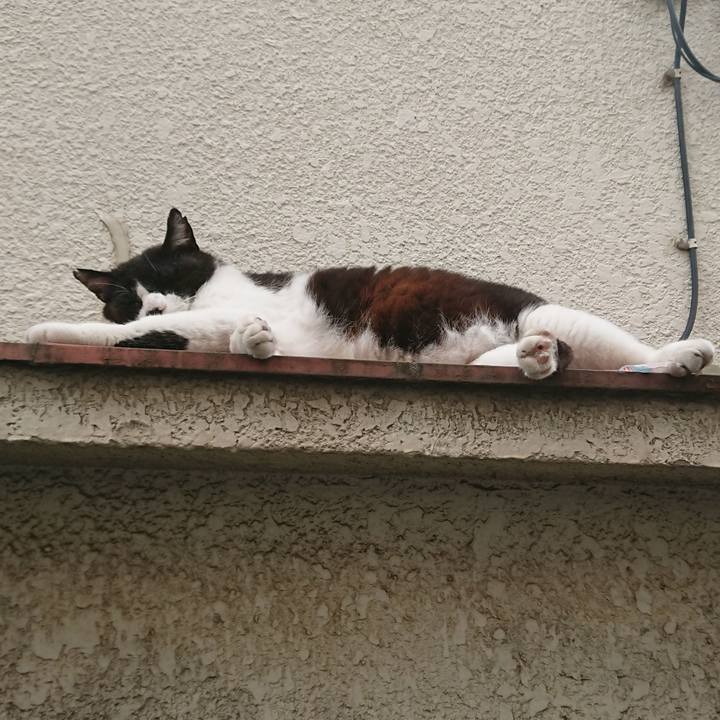 A75a6ae9 771c 48c4 9b5d 258c709cac61 1563692763621