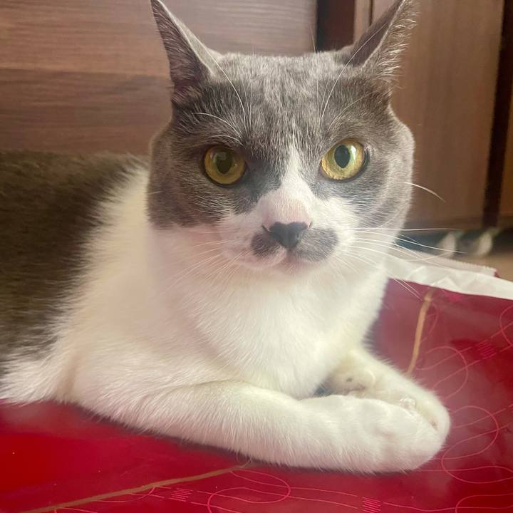 A75ab7d2 6534 45fe a047 d8290c12e750 1633047815776