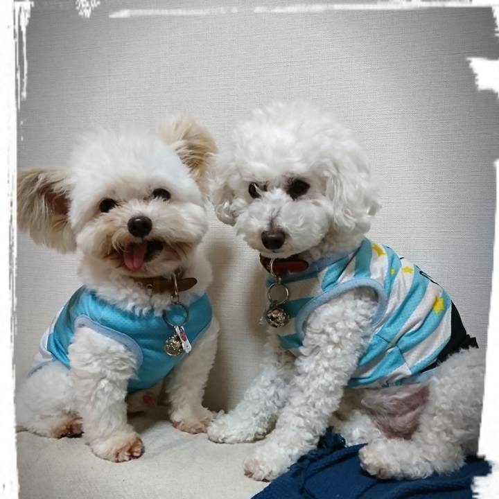 A75abb46 7cdd 4908 8a71 cb945a16e8db 1560519367938