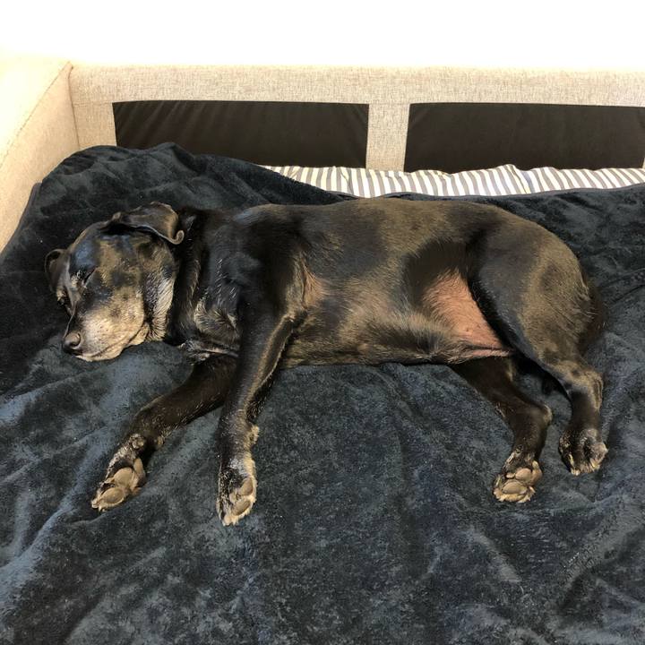 A75ad32c f3e8 4181 83af 4af44ccfe7bb 1603756871784