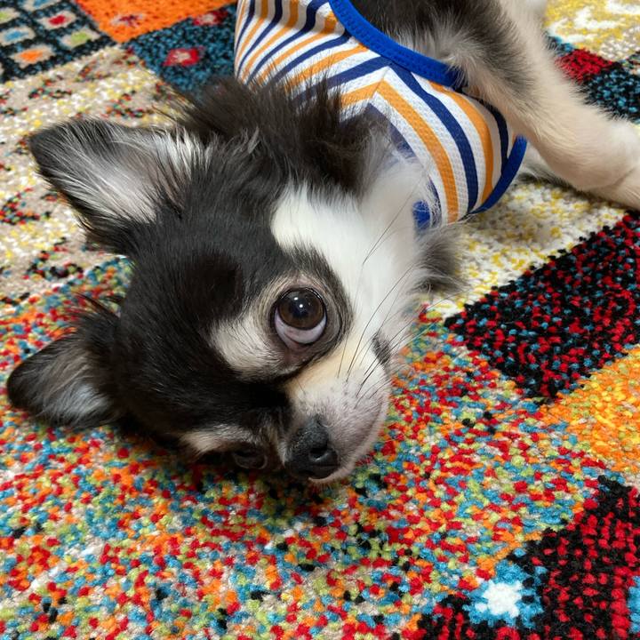 A75aded7 98c3 4e35 b81c 6cf6c952d522 1687099950657