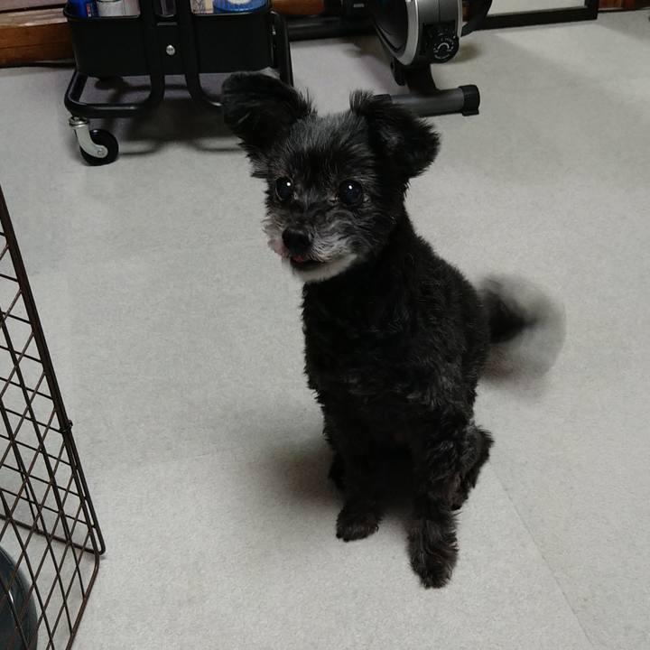 A75af778 0e2a 4b21 aab5 42a5dd9c69cc 1702811989097