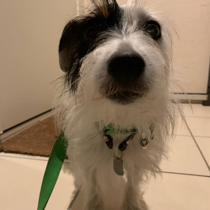 A75b41b6 0c62 4081 b794 a7fea24904c1 1573562046357