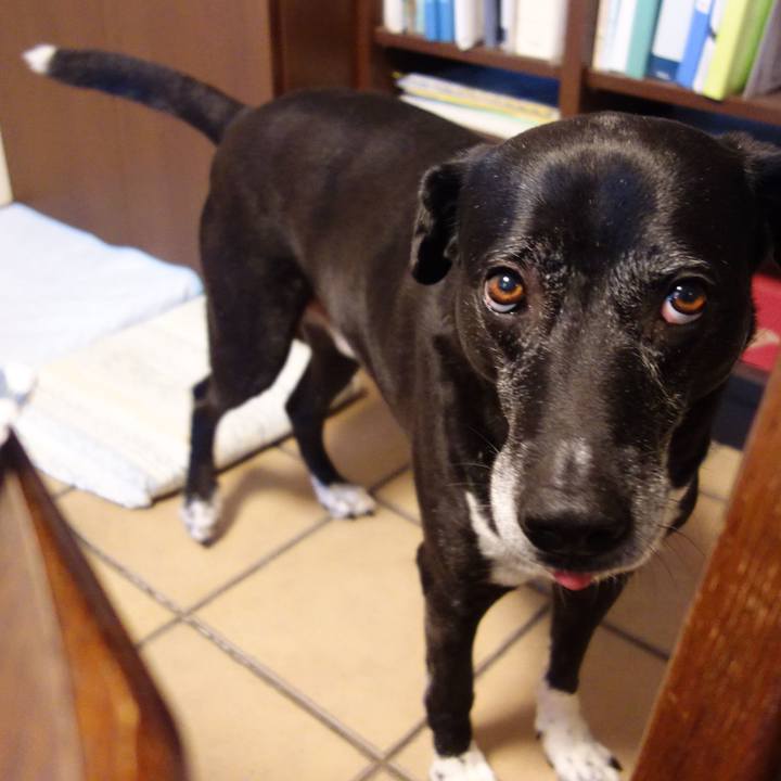 A75b4849 e4a2 4fa6 b448 e229a3f18721 1749084355629