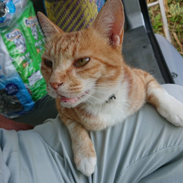 A75b4ba9 992f 490a 8f6a 9cc3f23c833e 1593681657562