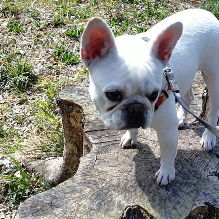 A75b9f69 8292 4516 a357 acd474993ade 1647395146401