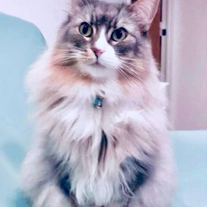 A75bffaa 9cd0 4dea 932b 021740137a36 1760283991296