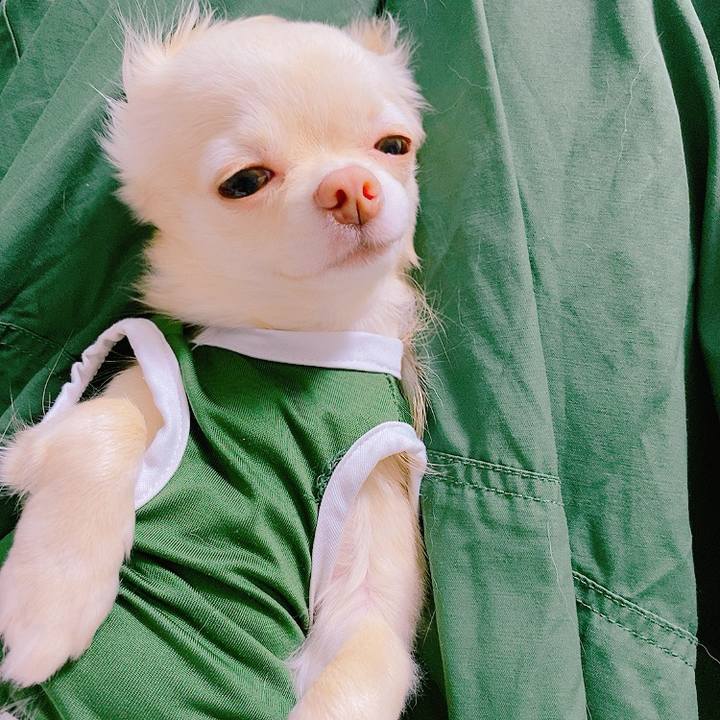 A75c0d8e b36b 4a3b 9ed0 40cd697dc7e5 1625973042935