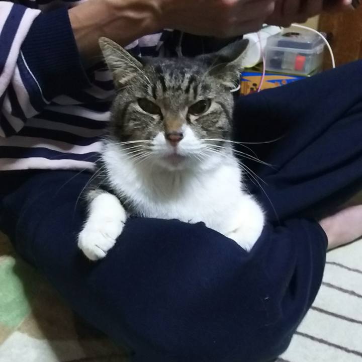 A75c189c 353d 456b 81e1 f51b1b9861c6 1510837182736