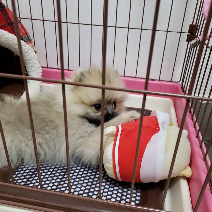 A75c383a eb81 4db5 baa0 1737737a4eb8 1612184131227