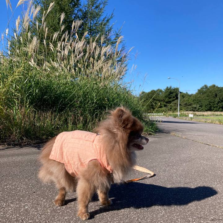 A75c444f 4eed 4fe1 9e6b ab44e0cff4c1 1695514343118