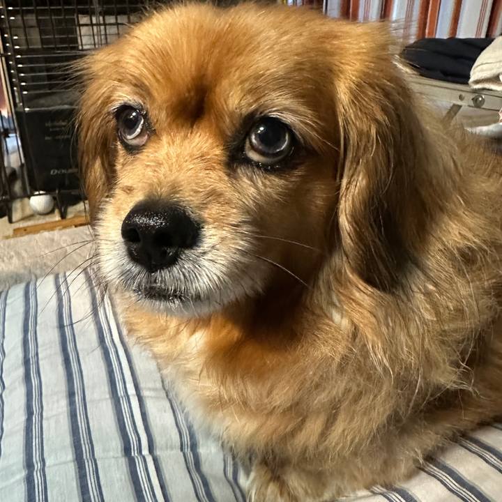 A75c5df8 f7aa 4e9b 8416 8bfdc2e71c87 1711315119056