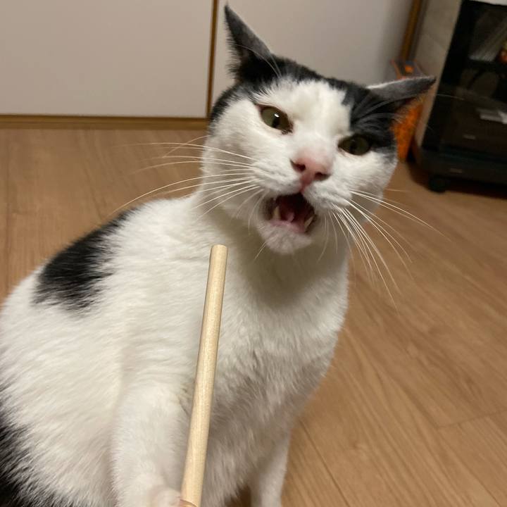 A75c7223 20b7 4b88 ac5e 07c812a68f57 1575810439042